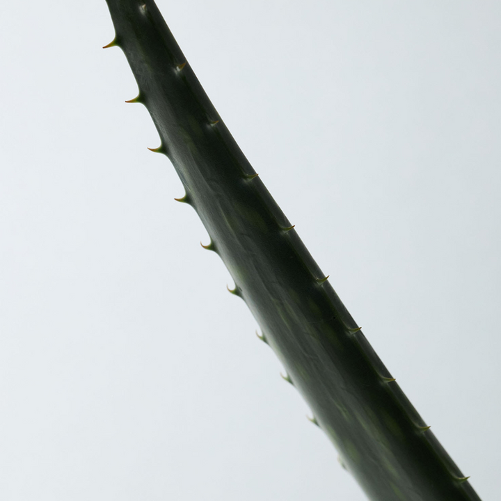 Aromatica Soothing Aloe Vera Gel 180ml