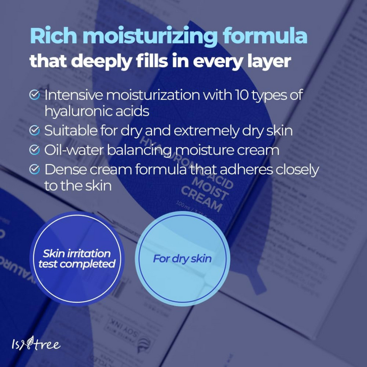 Isntree Hyaluronic Acid Moist Cream 100ml