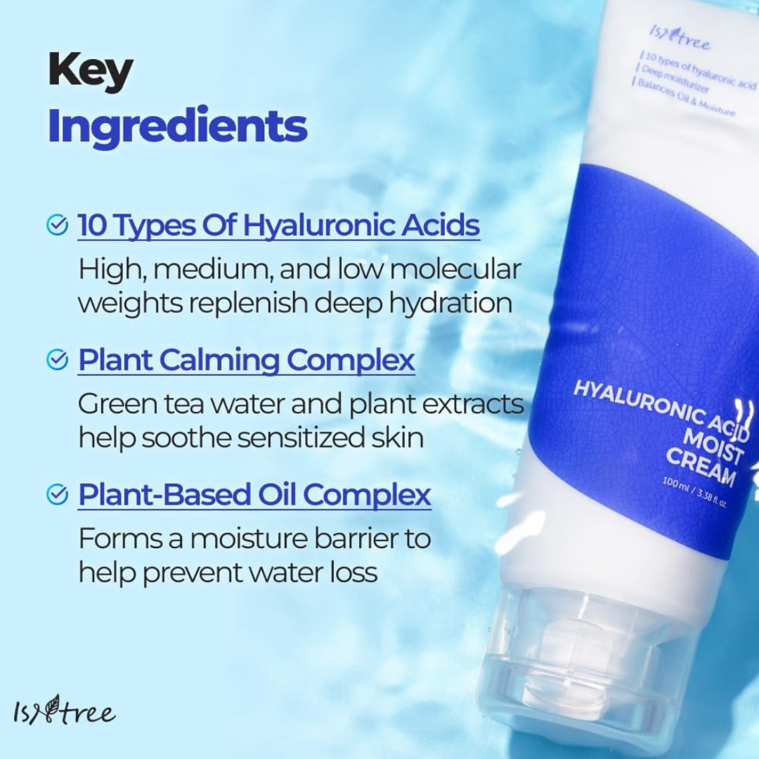 Isntree Hyaluronic Acid Moist Cream 100ml