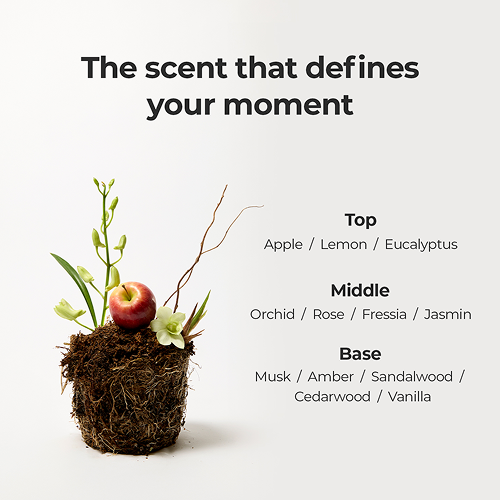 MOEV ANNURCATIN Hair Perfume 30ml