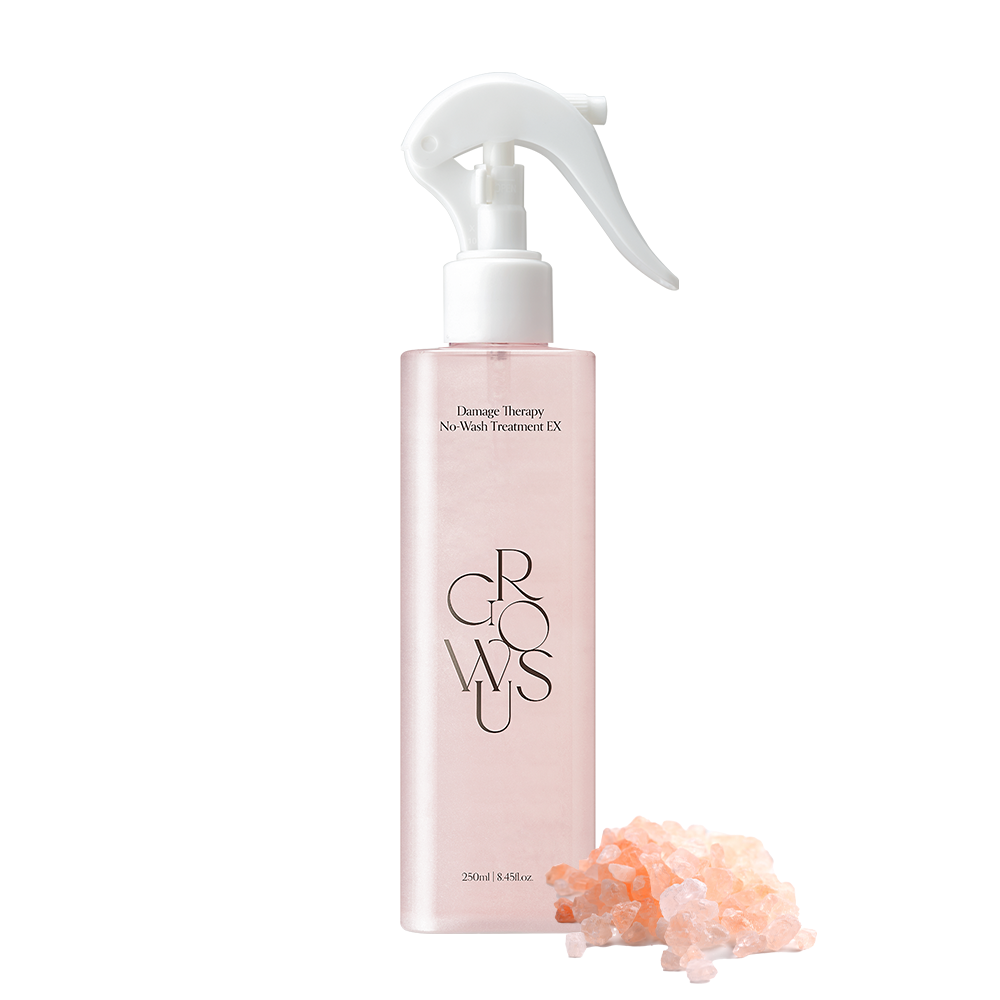 Growus Damage Therapy No-Wash Treatment EX 220g